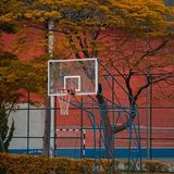 Episode 1676 - Jarvis Kingston NBA Playoffs NBA Play In Katy Perry Ruby Rose Jesus Trump Typhoon Sinlaku Guam Northern Mariana Islands News