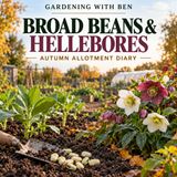 Planting Broad Beans & Winter Hellebores | Autumn Allotment Diary