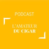 #377 - L'amateur du cigar | Buongiorno Felicità!