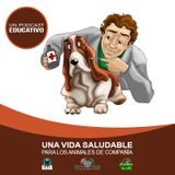 NUESTRO OXÍGENO Una vida saludable para los animales de compañía - Yuli Ordoñez