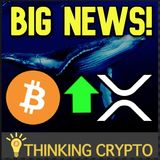 a16z New Crypto Fund Hits $515M - Bitcoin Whale Accumulation Increases - Ripple XRP Q1 2020 Report - Algorand Props