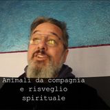 Animali da compagnia e risvegli spirituale #gattoguru #animaletotem s2e19.3
