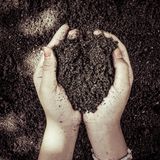 Dalla Cina un nuovo indicatore per valutare la stabilità del carbonio nel suolo
