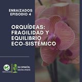 Orquídeas. Fragilidad y equilibrio eco-sistémico