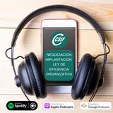 Implantación Ley de Eficiencia Organizativa (Negociación)