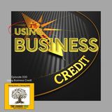 Episode 030 - Using Business Credit - The Leader Tree