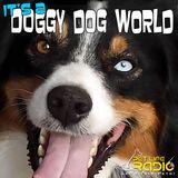 PetLifeRadio.com - Episode 08 Holiday Safety for your Dog