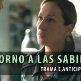 Anticipazioni Ritorno A Las Sabinas, Puntate Spagnole: Alex Viene Assassinato!