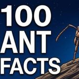 One Trillion Strong _ Ant Facts and Colony Science for Sleep