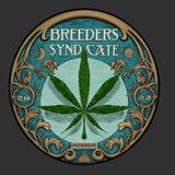 Launching our own Strain Database aka CODEX + Phylos Leafly Seedfinder Strainly