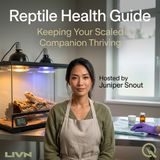 Reptile Health Guide - Uncover the secrets to thriving scales with Juniper Snout