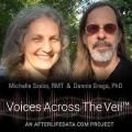 Voices Across the Veil with Michelle Szabo and Dr. Dennis Grega
