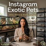 Instagram Exotic Pets - Discover the wild side of social media with Juniper Snout