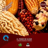 NUESTRO OXÍGENO Sembrando futuro, el poder de elegir alimentos orgánicos y diversos