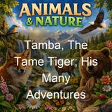 Tamba The Tame Tiger His Many Adventures - Richard Barnum