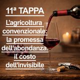 11ª TAPPA - Percorso di AVVICINAMENTO al mondo del VINO NATURALE