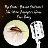 Top Causes Behind Cockroach Infestation Singapore Homes Face Today