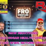 Raw Review - Hulk Hogan Health Update - AJ Lee WWE Return?