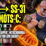 NAD+ → SS-31 → MOTS-c: A Practical “Zapped” Mitochondria Protocol for Low Energy