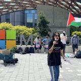 Inside the tech worker revolt for Palestine at Microsoft