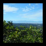 Steep Brisk Hike