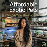 Affordable Exotic Pets - Furry, Spiny, and Surprisingly Cheap