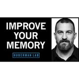 Understand & Improve Memory Using Science-Based Tools _ Huberman Lab Podcast #72
