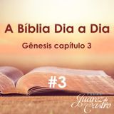 #3 - Curso Bíblico 3 - Gênesis Capítulo 3 - O Pecado Original - Padre Juarez de Castro