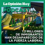 Desaparecen inmigrantes de la fuerza laboral bajo el gobierno de Trump.