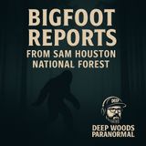 Bigfoot Reports from Sam Houston National Forest | Deep Dive & Analysis