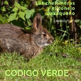 2.- Las chelemeras y el conejo oaxaqueño.