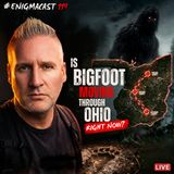 Is Bigfoot Moving Through Ohio RIGHT NOW?