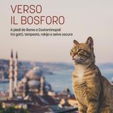 Stefano Cascavilla "Verso il Bosforo"
