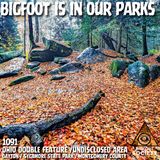 Multiple Bigfoot Encounters Across Ohio — Witnesses Describe What They Saw!