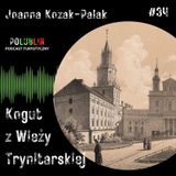 Kogut z Wieży Trynitarskiej | Joanna Kozak-Palak