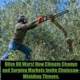 Olive Oil Wars!