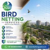 Bird Netting Services for Homes and Commercial Areas