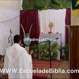 Padre Luis Toro. Cierre de las 40 horas de adoración por la visita de los Obispos a la parroquia(MP3_160K)