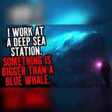 2 Miles Down, It Dwarfed a Blue Whale | Sea Horror Stories To Fall Asleep To