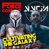 Force Connect: Cultivating the Galaxy