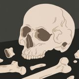 Co mówią kości, czyli prawda zakopana w ziemi