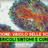 Il Vaiolo delle Scimmie: Pericoli, Sintomi e Cure!