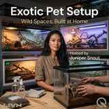 Exotic Pet Setup - Ground Truth: Substrates, Hides, and the World Underfoot