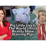 Jane Velez Mitchell Chats With The Ladies On The WOW Show "Pig Little Lies"