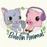 Boletín 003 - Bienestar Animal ¿Qué es y para qué sirve?