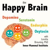 Dopamine and the Joy of Discovery