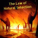 The LAW OF NATURAL SELECTION. Episode 46 - Dark Skies News And information
