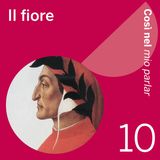 Dante700: Il fiore