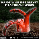 #311 Najdziwniejsze grzyby z polskich lasów | prof. Marta Wrzosek