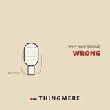 Why Your Own Voice Sounds Wrong on a Recording